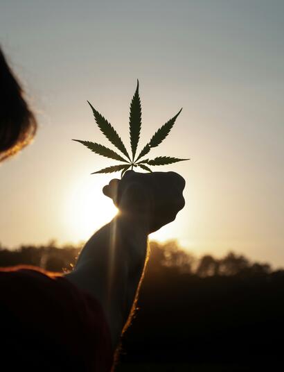 Volkswagen's New 100% Hemp Based Leather Alternative 